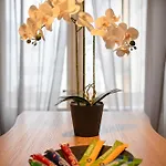 Апартаменты Chez Nicole Gare1 - - Zentral - Familienfreundlich - Business