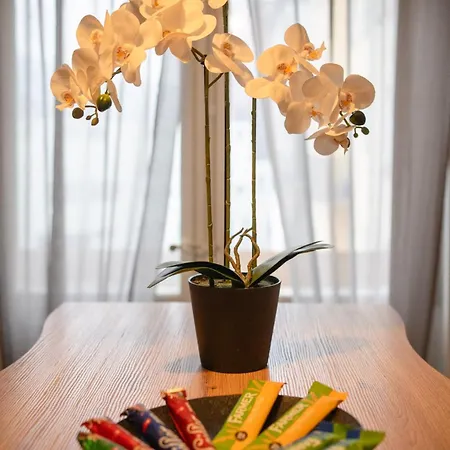 公寓 Chez Nicole Gare1 - - Zentral - Familienfreundlich - Business